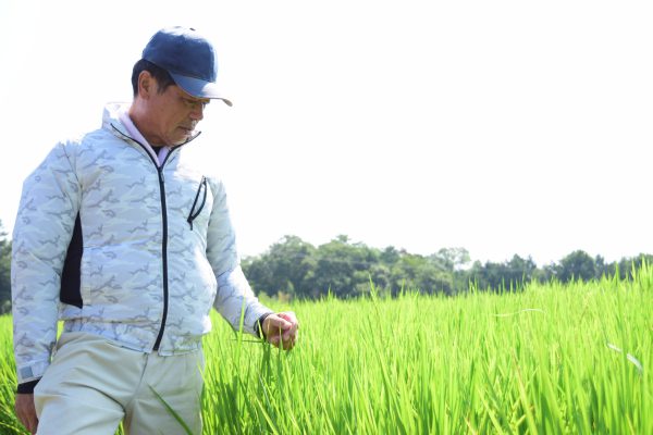 気候と土と、ベテランの目。神戸市北区でお米を育てる坂井さん