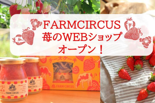 FARMCIRCUS 苺のWEBショップがオープン! 第一弾商品は「いちごの神戸チーズケーキ」