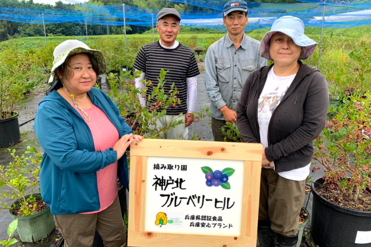 農業を楽しんでおられる4名の農家さんが、チームで運営する神戸市北区のブルーベリー農園