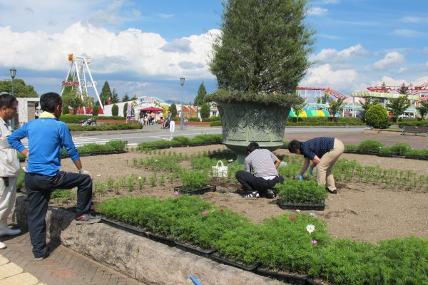 9月15日（日曜）道の駅神戸フルーツ・フラワーパーク市民花壇へのコスモス植え込み体験開催のお知らせ