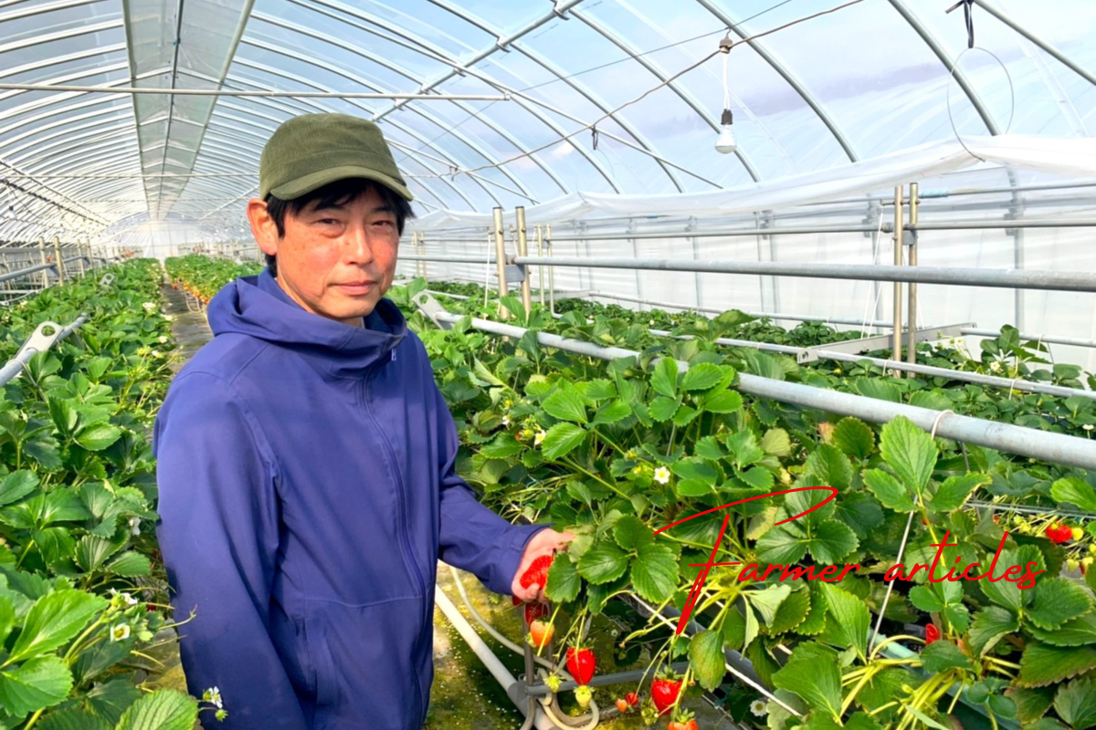 二郎で初めての新規就農者として次世代に繋ぐ架け橋　いちご農家、ヤマネコファームの山根さん