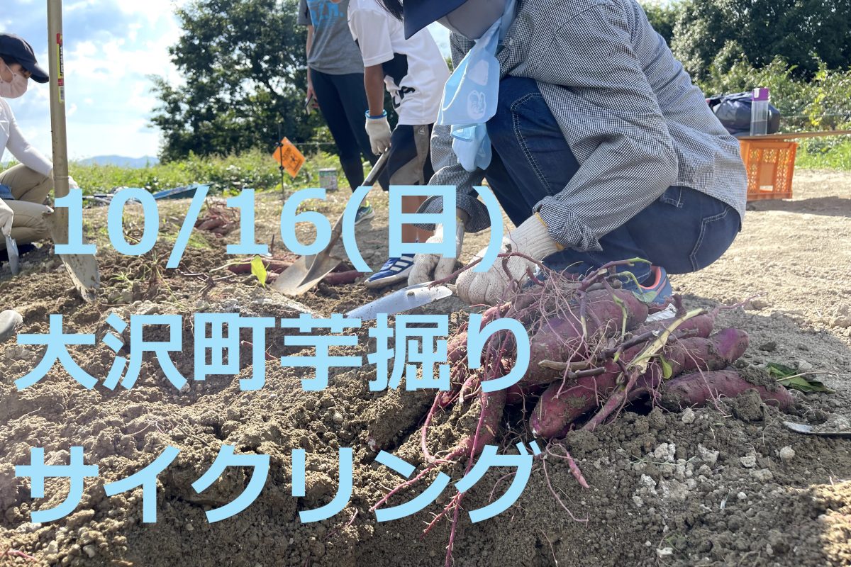 【10/16(日)開催】大沢町で芋掘りサイクリング