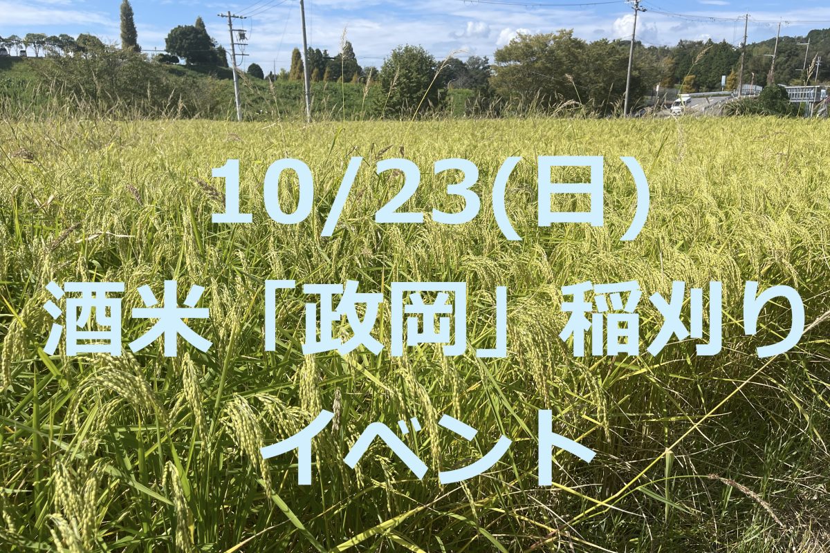 【10/23(日)】酒米「政岡」稲刈りイベント