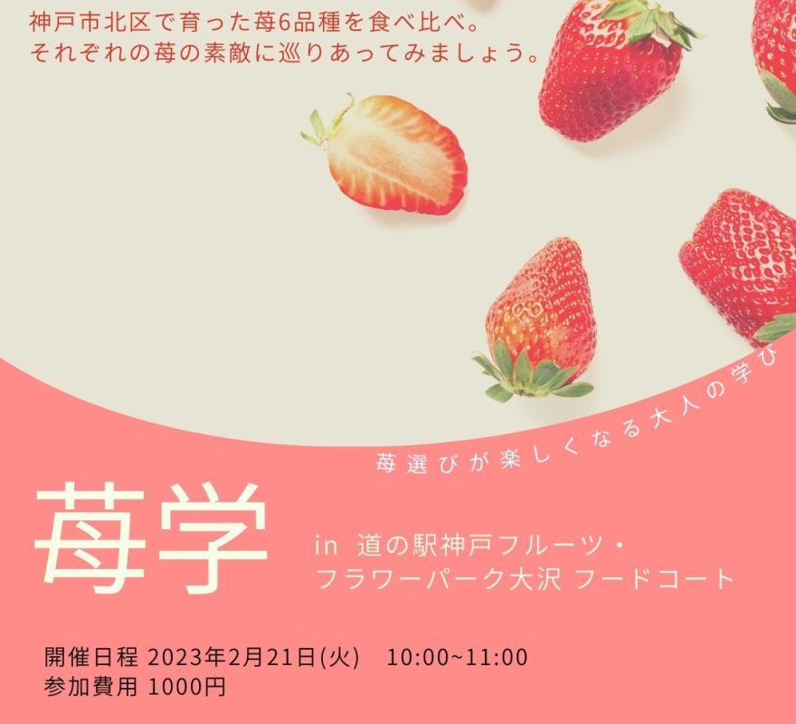 【いちごのあれこれ第2弾】食育イベント『苺学』