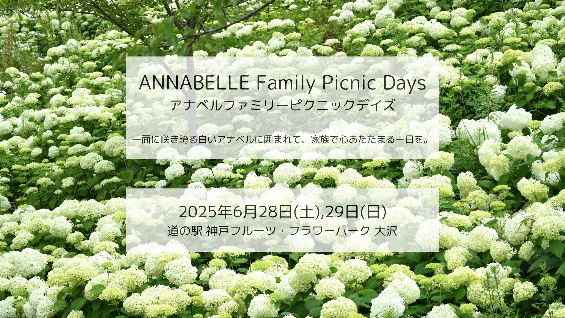 ANNABELLE Family Picnic Day